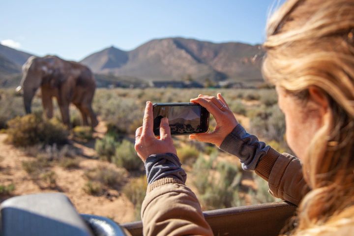 Mega Pass + 1 Premium experience 3 Days